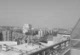 صورة المركز الطبى للمقاولون العرب - رقم 163