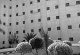 صورة المركز الطبي العالمي  - رقم 177
