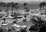 صورة فندق ومنتجع بريمير لو ريف - رقم 859
