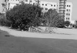 صورة مدارس بيونير المتكاملة - رقم 1463