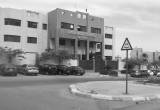 صورة مدرسة هاي لاندز الدولية - رقم 1487