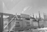 صورة  حضانة ذا لورل - رقم 1936