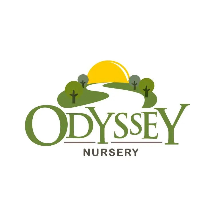 Odyssey Nursery  Logo