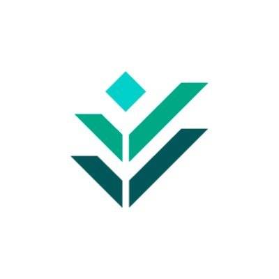 Saudi Real Estate Institute  Logo