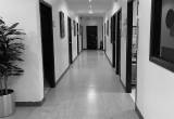 صورة مركز ديمة لطب الاسنان - رقم 2540