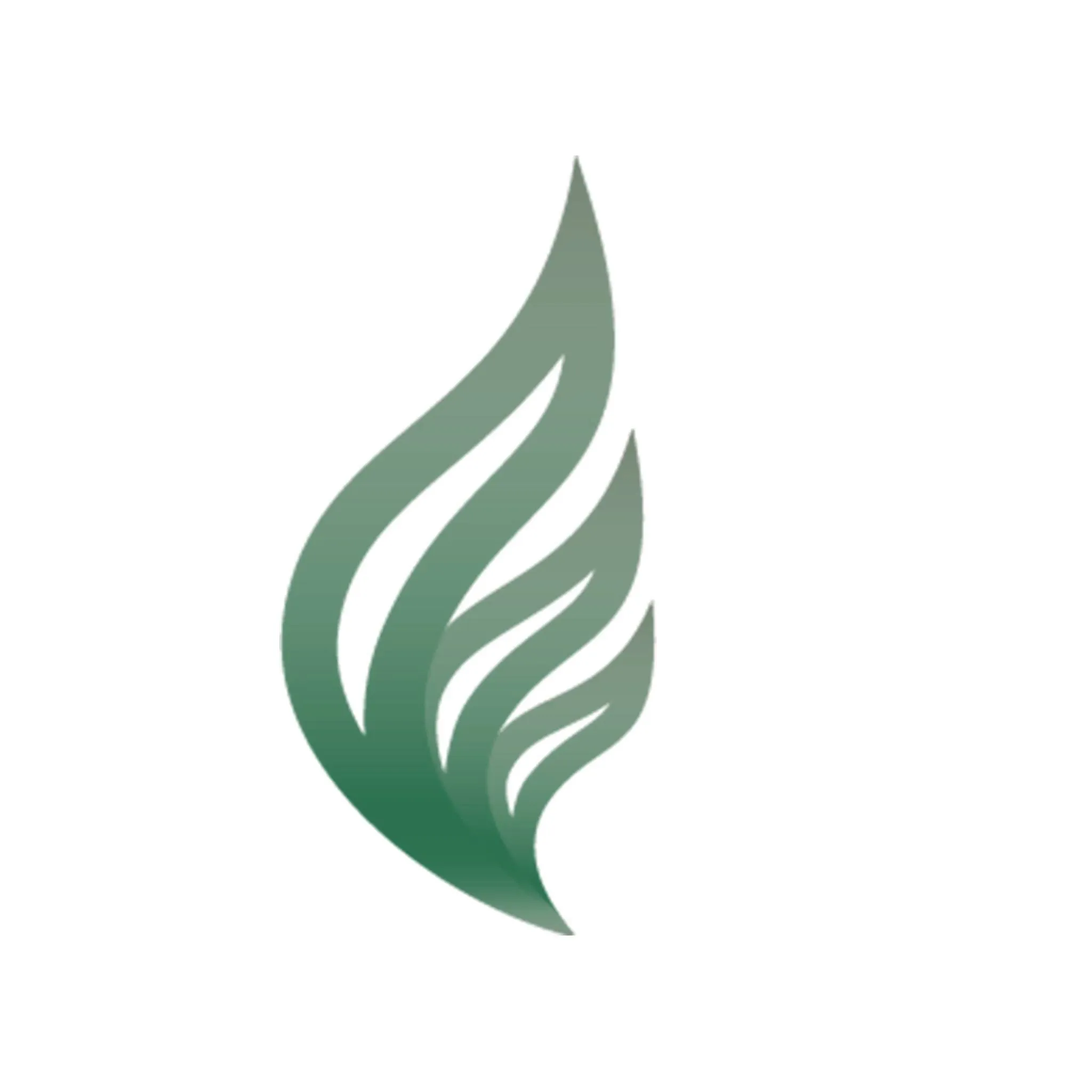 Gargash Hospital  Logo