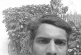 صورة شركة نخيل - رقم 3126