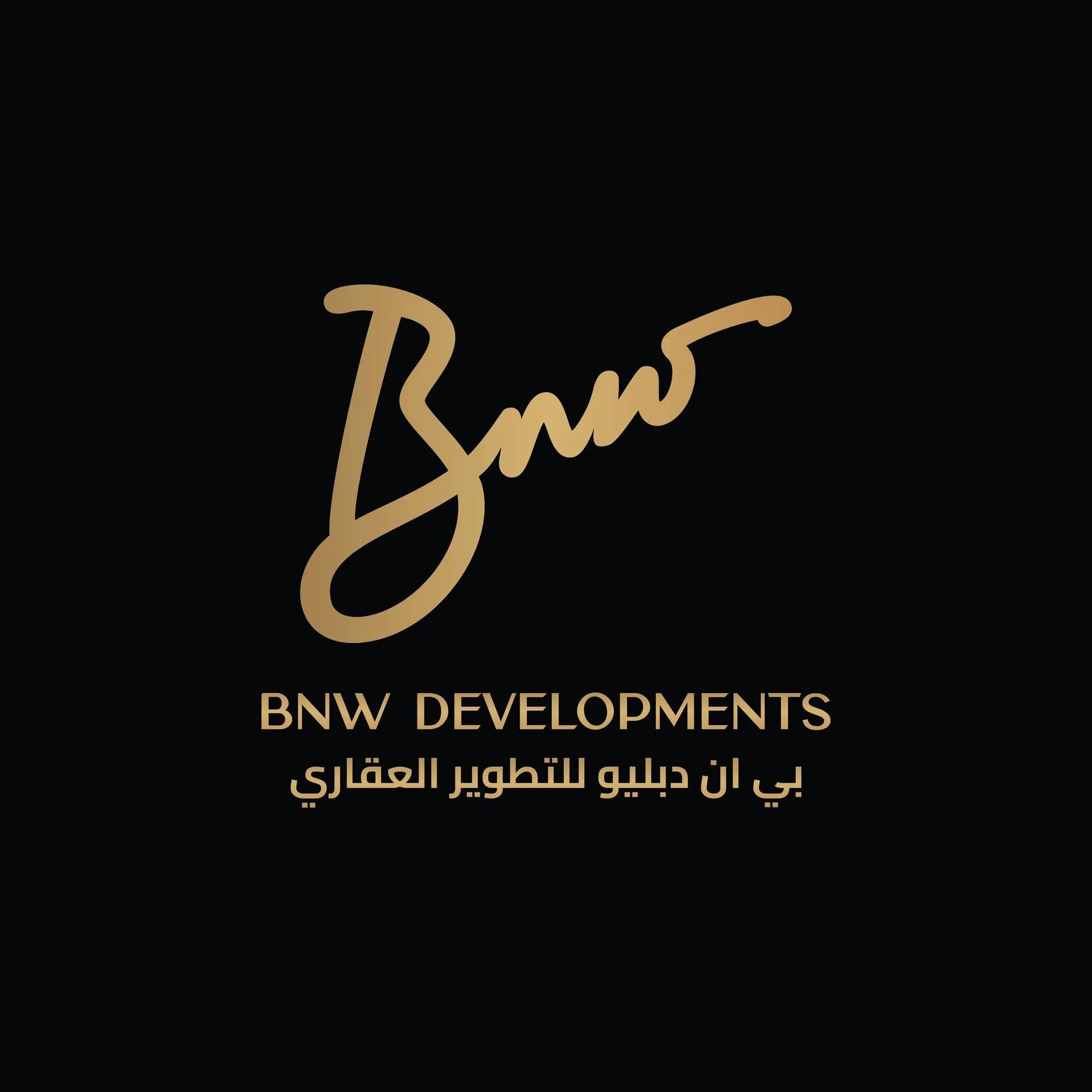 BNW Real Estate Developments Logo