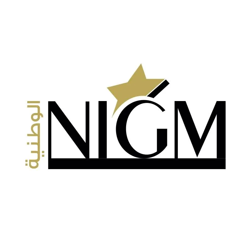 NIGM LLC Logo