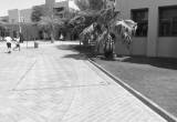صورة مدرسة الراحة الدولية - رقم 3525