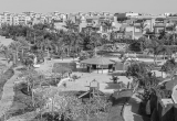 صورة شركة مصر إيطاليا  - رقم 3653