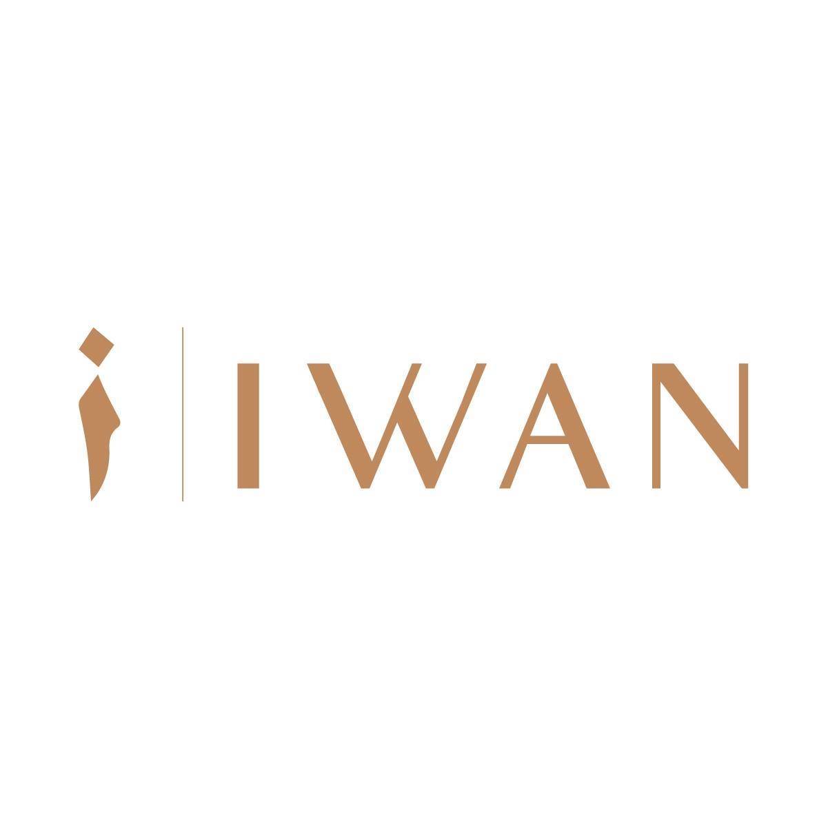 IWAN Developments  Logo