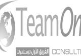 صورة شركة الفريق الأول للاستشارات - رقم 3785