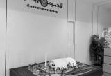 صورة المجموعة الإستشارية - رقم 3828