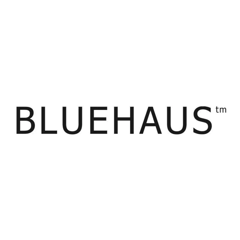 Bluehaus Group Logo