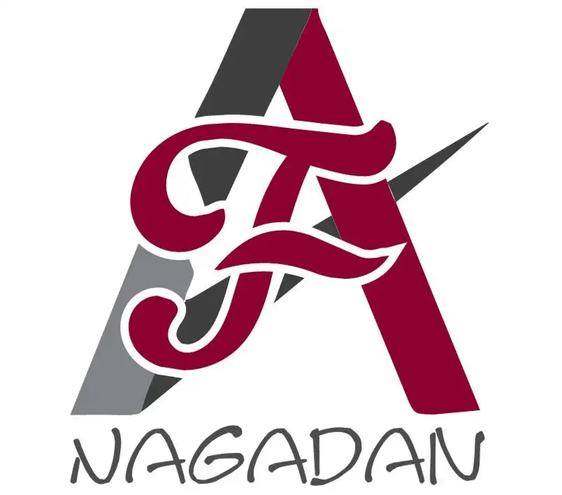 Faisal Al-Nagadan Accounting and Auditing Office Logo