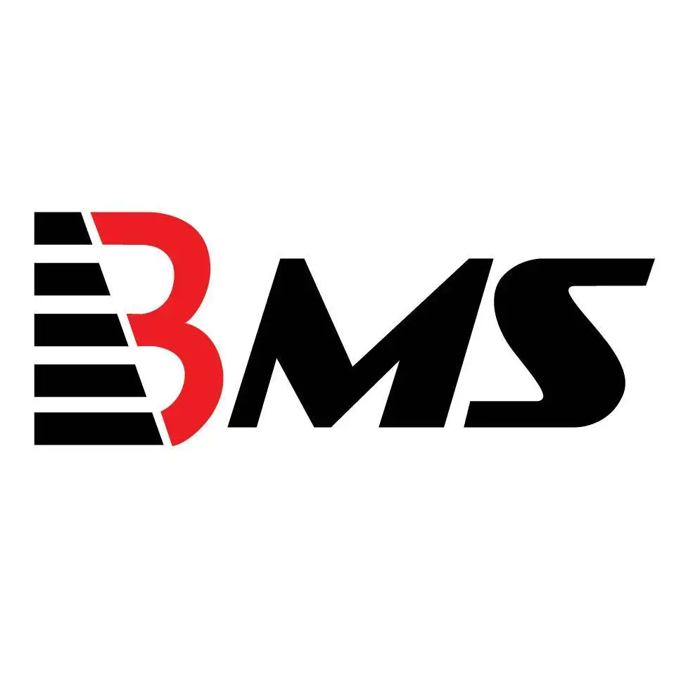 BMS Auditing Logo