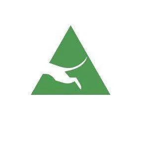 Black Cat Engineering & Construction W.L.L  Logo