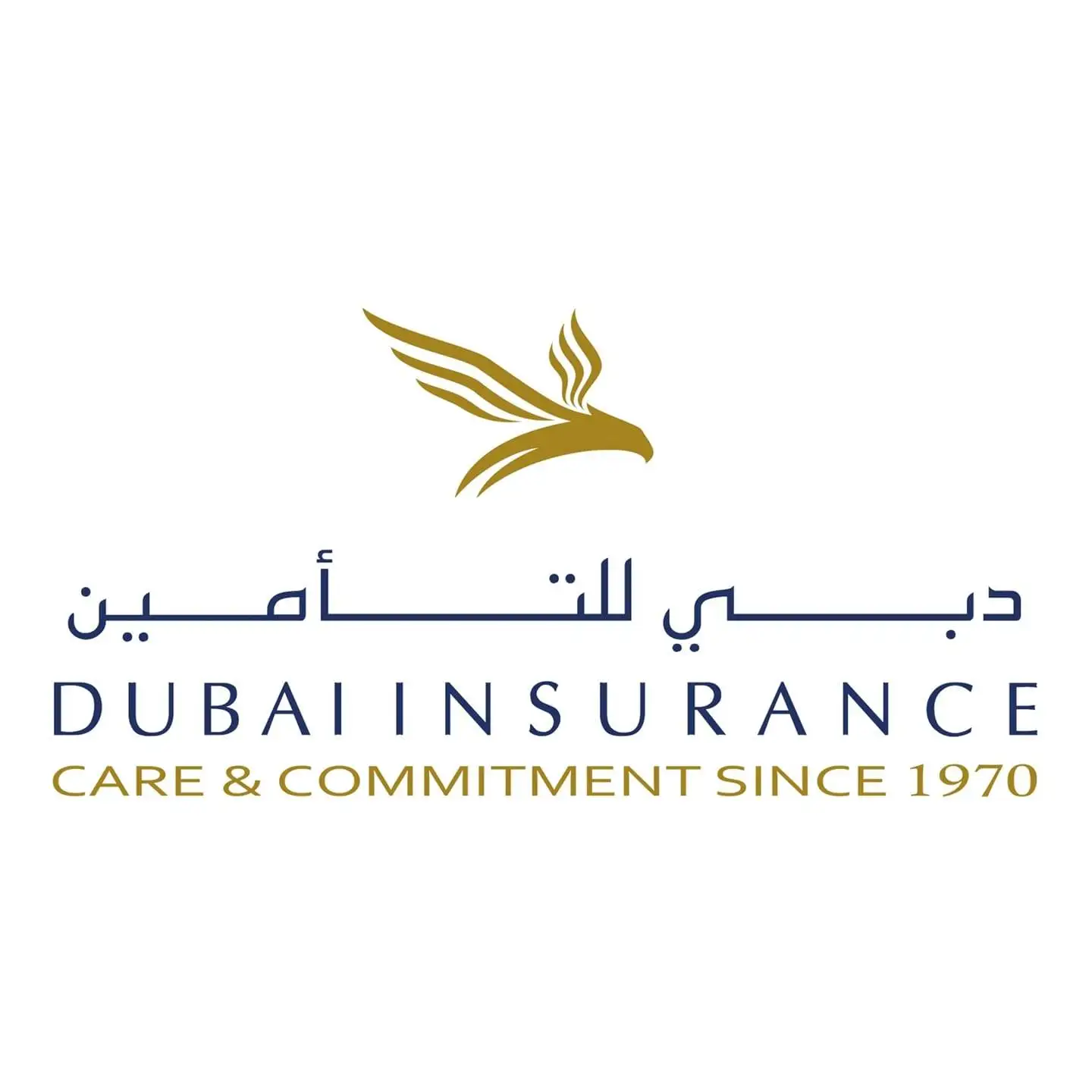 Dubai Insurance   Logo