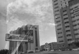 صورة شركة دار الأركان للتطوير العقاري - رقم 5242