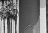 صورة البنك المركزي السعودي - ساما  - رقم 5526