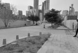 صورة البنك المركزي السعودي - ساما  - رقم 5529