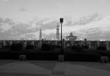 صورة البنك الإسلامي للتنمية - رقم 5535