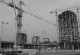 صورة شركة الديار القطرية للاستثمار العقاري - رقم 5584