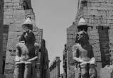 صورة شركة سما مصر للسياحة - رقم 5616