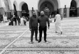 صورة نيل مصر للسياحة - رقم 5626