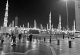 صورة نيل مصر للسياحة - رقم 5621