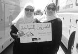 صورة شركة المصريين للسياحة - رقم 5665