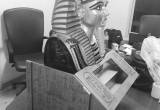 صورة المحمود للسياحة  - رقم 5688