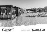 صورة كايرو ستار ترافيل  - رقم 5793