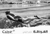 صورة كايرو ستار ترافيل  - رقم 5798