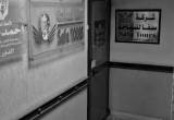صورة صفا تورز  - رقم 5843