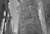 صورة شركة سمايل تورز - رقم 5848