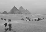 صورة شركة سمايل تورز - رقم 5853
