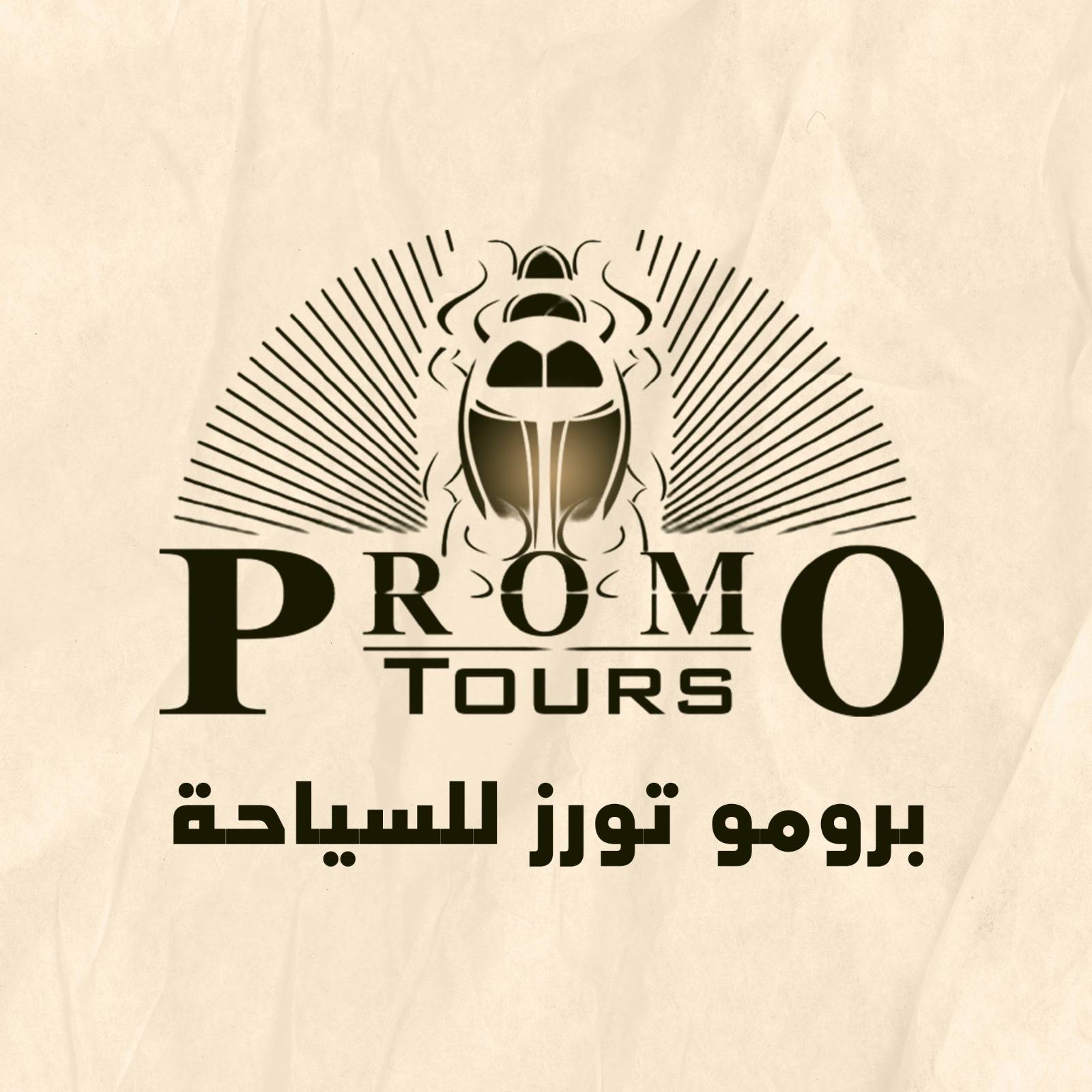 Promo Tours Logo