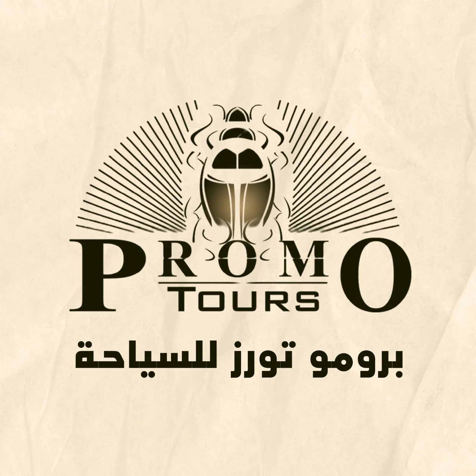 Promo Tours Logo