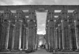 صورة شركة سوان للسياحة - رقم 6359