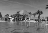 صورة لاكسبيديا ترافيل - رقم 6652