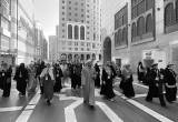 صورة المجد للسياحة  - رقم 6677