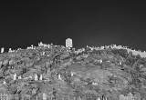 صورة المجد للسياحة  - رقم 6681
