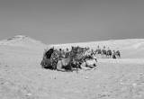 صورة فلاش تور - رقم 6763