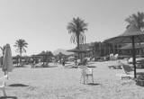 صورة شركة ترافيستا - رقم 6774