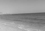 صورة شركة ترافيستا - رقم 6778