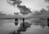 صورة تراف جلوب - رقم 6823