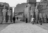 صورة أبيس مصر للسياحة - رقم 6827