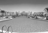 صورة روز ترافيل - رقم 6851